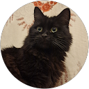 Claudia Grigore profile picture